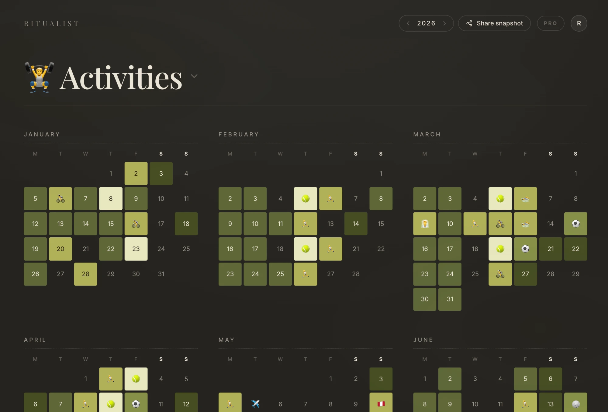 Ritualist year view of an Activities tracker in olive greens, with emojis for tennis, cycling and football